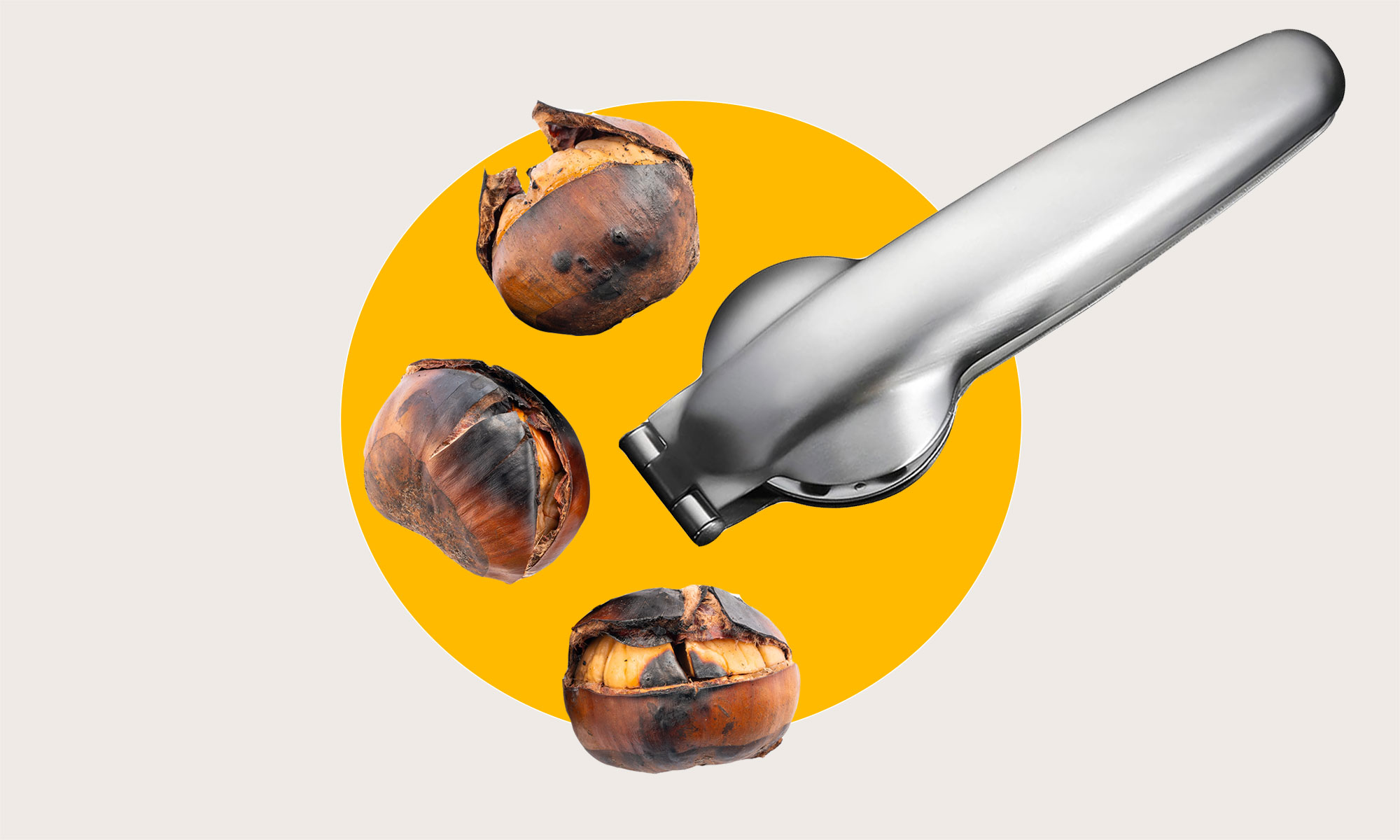 A chestnut scoring tool alongside three roasted chestnuts.
