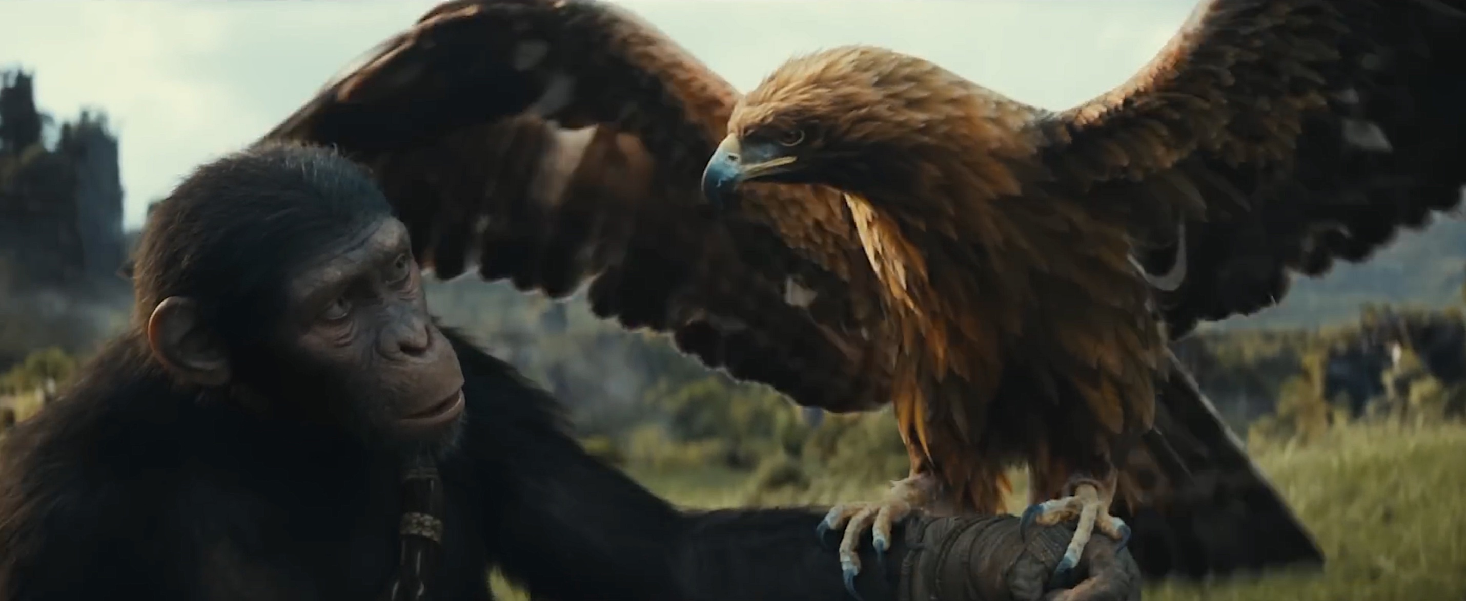 A screenshot from the first Kingdom of the Planet of the Apes teaser shows the chimp Noa looking at the eagle Sun as Sun lands on his arm