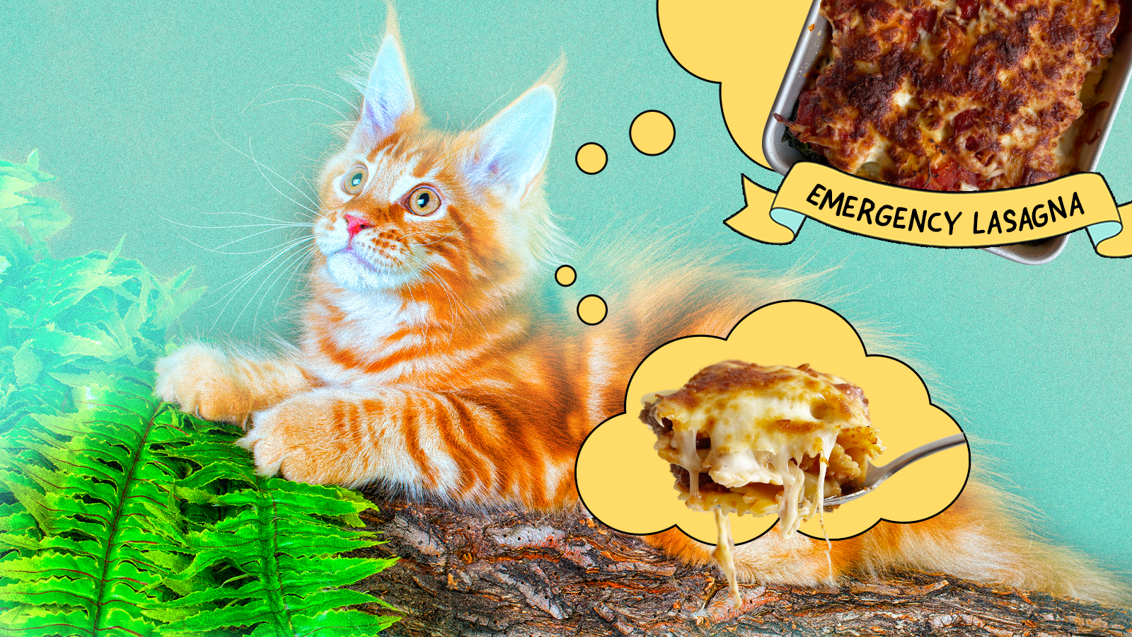 A photo illustration of a cat thinking about lasagna