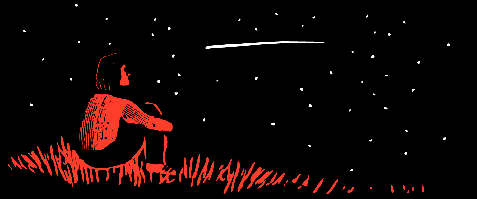 Illustration of a girl sitting in the grass, looking at a shooting star.