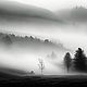 Духи: Foggy Valley, натуральные духи, унисекс