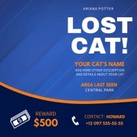 Blue Lost Cat Instagram Video Square (1:1) template