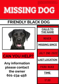 Missing Dog A5 POSTER template