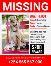 Missing dog Flyer (US Letter) template