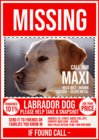 Missing Dog Poster Template A4