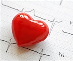 Itgb1 gene found to be crucial in preventing spongy heart disease