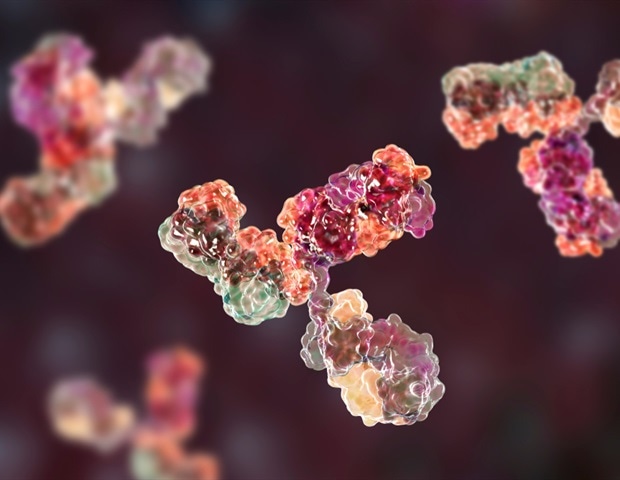 VUMC researchers discover potent antibody against influenza B