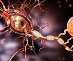 Researchers identify novel way to potentially slow down or halt Alzheimer’s progression