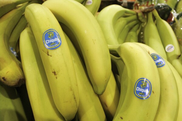 FILE - Chiquita bananas are piled on display at the Heinen's grocery store in Bainbridge, Ohio in this Aug. 3, 2005 file photo. A federal jury in Florida found that Chiquita Brands must pay $38.3 million to 16 family members of people killed during Colombia’s long civil war by a violent right-wing paramilitary group funded by the company. The verdict Monday, June 10, 2024 by a jury in West Palm Beach marks the first time the company has been found liable in any of multiple similar lawsuits pending elsewhere in U.S. courts, lawyers for the plaintiffs said. (AP Photo/Amy Sancetta, file)