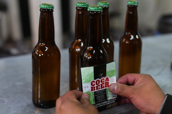 A worker puts labels on coca leaf-flavored beer bottles at El Viejo Roble liqueurs in La Paz, Bolivia, Friday, May 3, 2024. The distillery has been making liquor from coca leaves for years and is now gearing up to launch a new coca-infused beer. (AP Photo/Juan Karita)