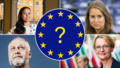 Detta vill toppkandidaterna göra om de får makten i EU – Del 1