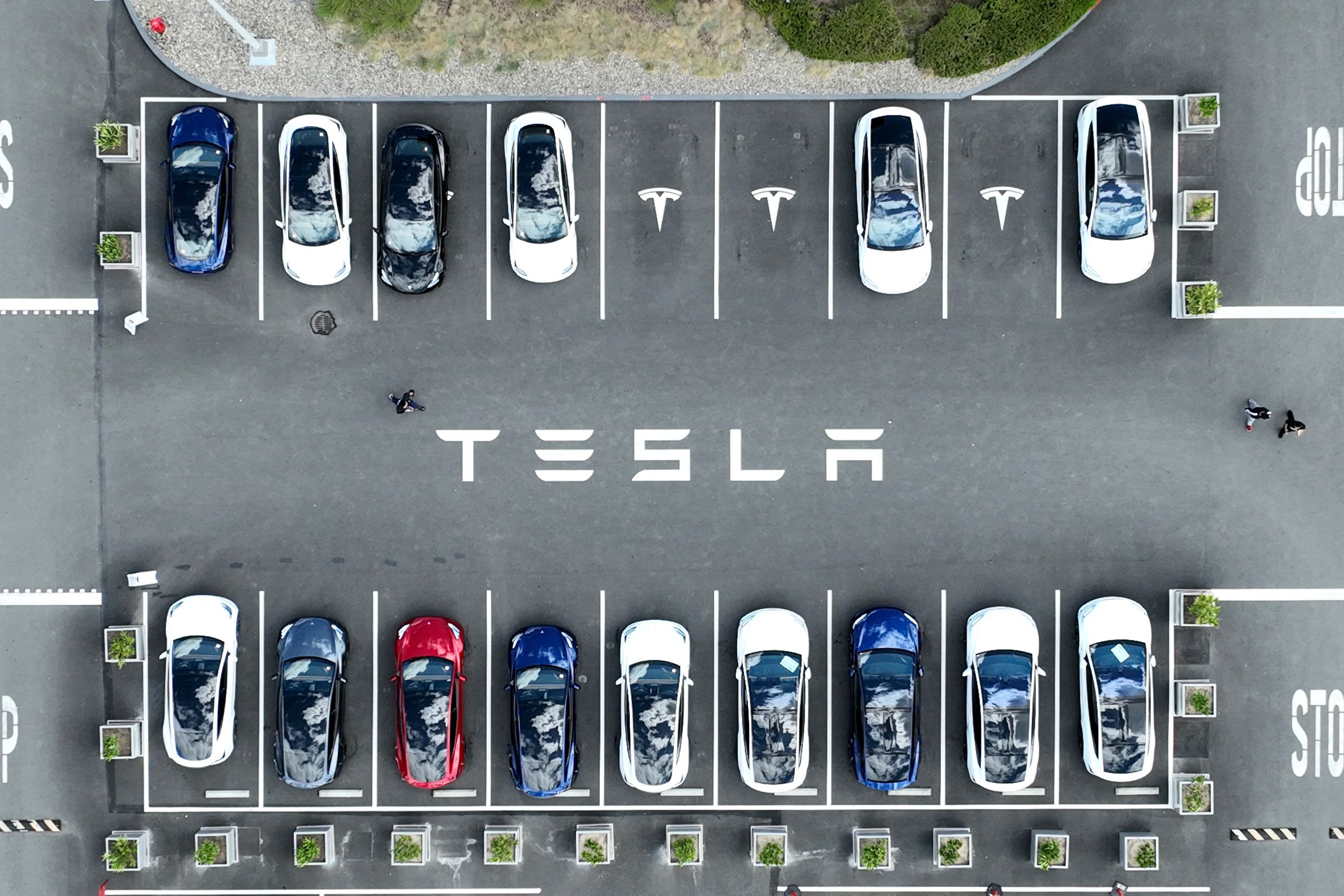 Teslas in a parking lot