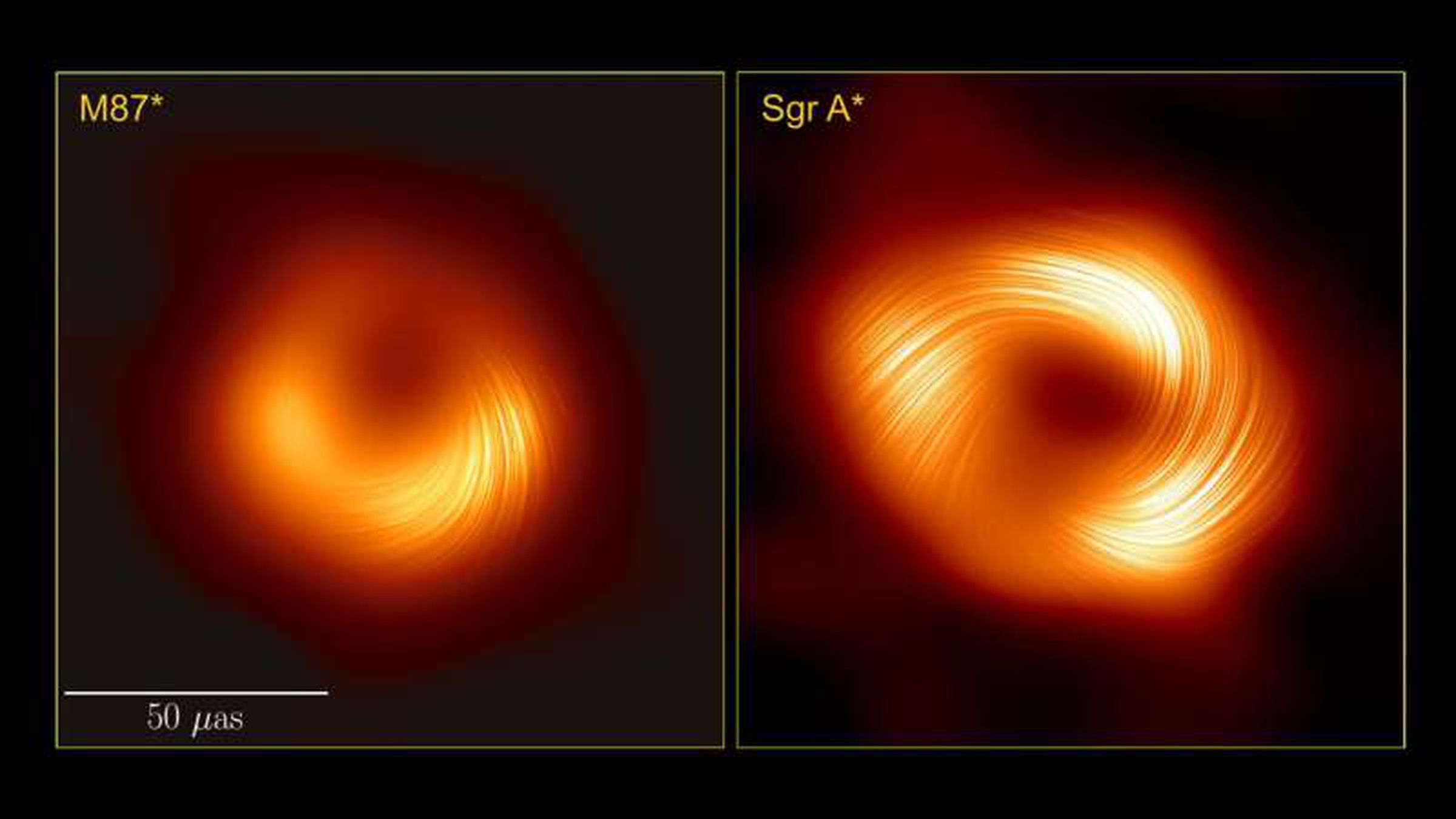 Comparison of the two black holes, each showing a magnetic pattern resembling that of water going down a drain.