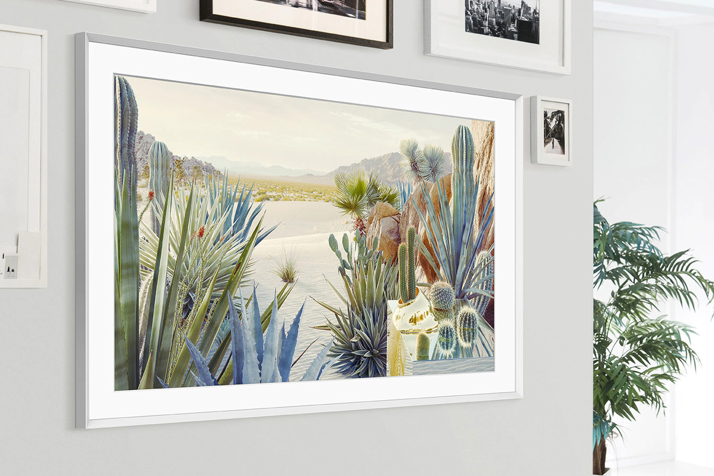 A close-up image of Samsung’s 2022 Frame TV hanging on a wall with a bunch of cacti on display.