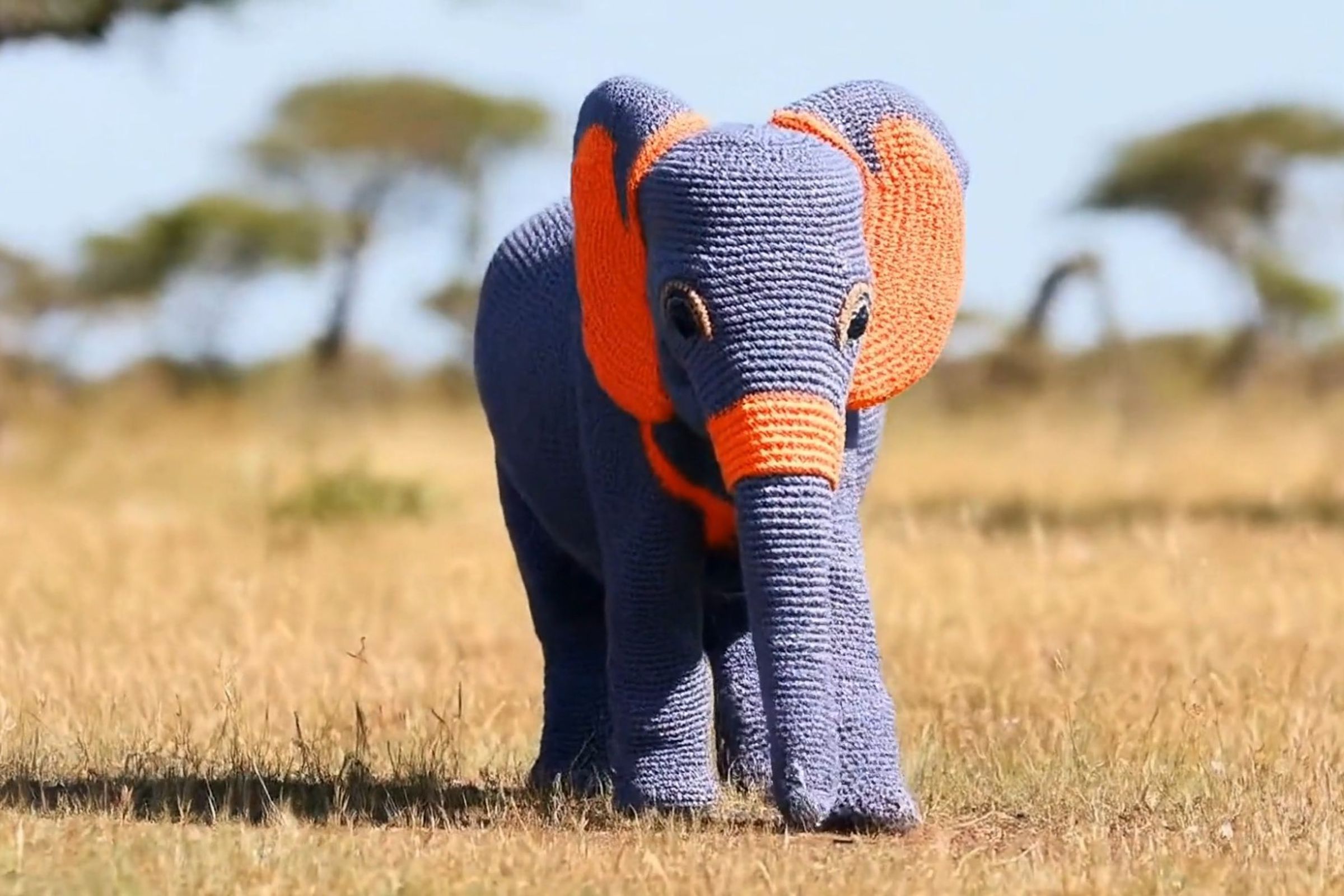 A screenshot taken of Google’s Veo demonstration, showing an ai-generated elephant that looks like a knitted toy.