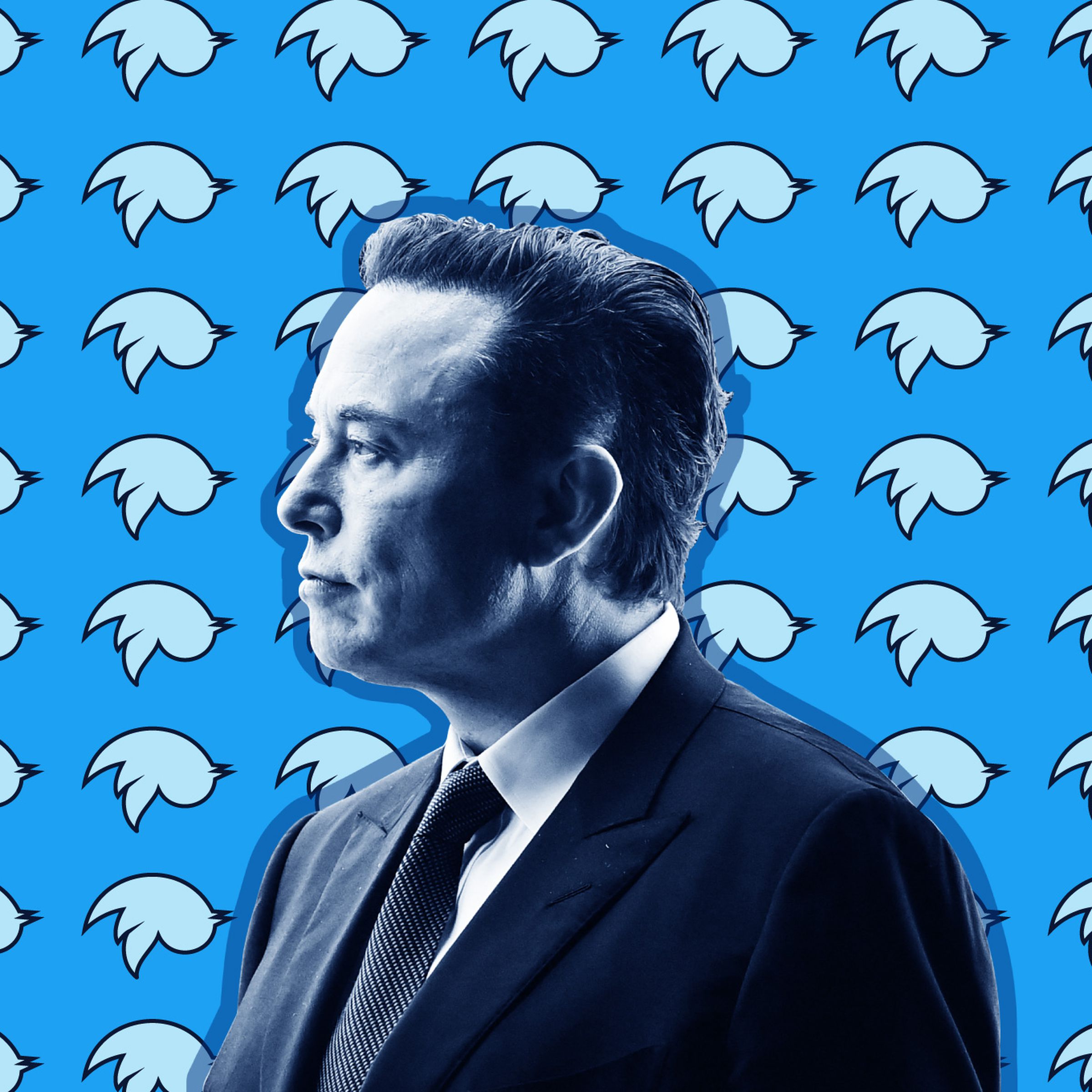 Elon Musk in front of the Twitter logo.