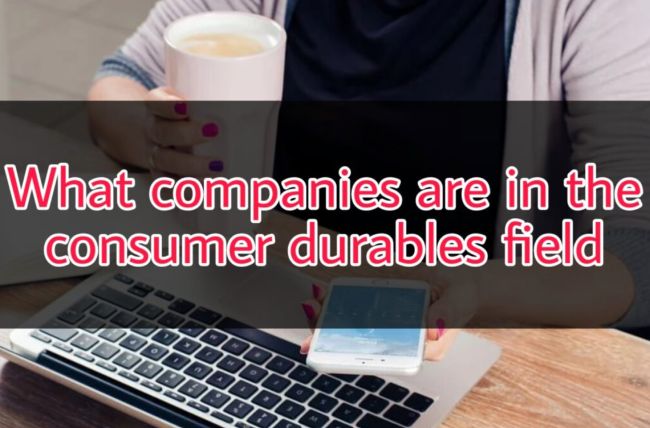 What Companies Are In the Consumer Durables Field