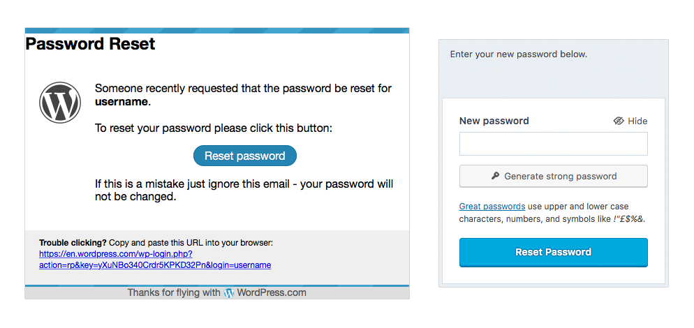 The password reset email and new password box.