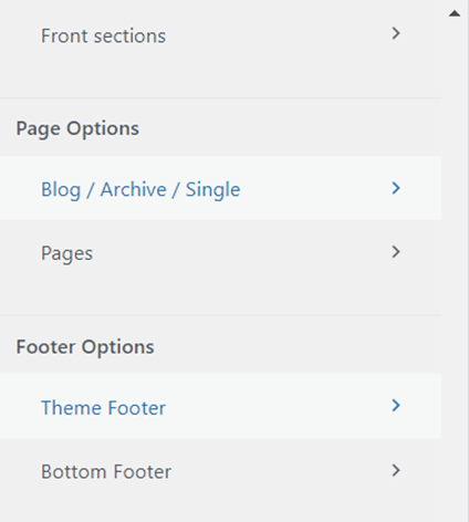 footer options
