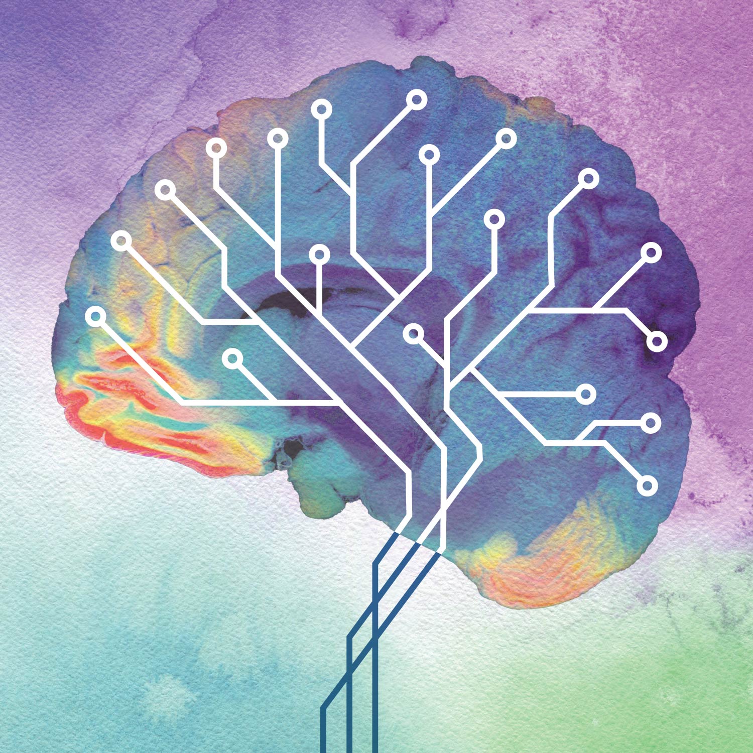 illustration of brain