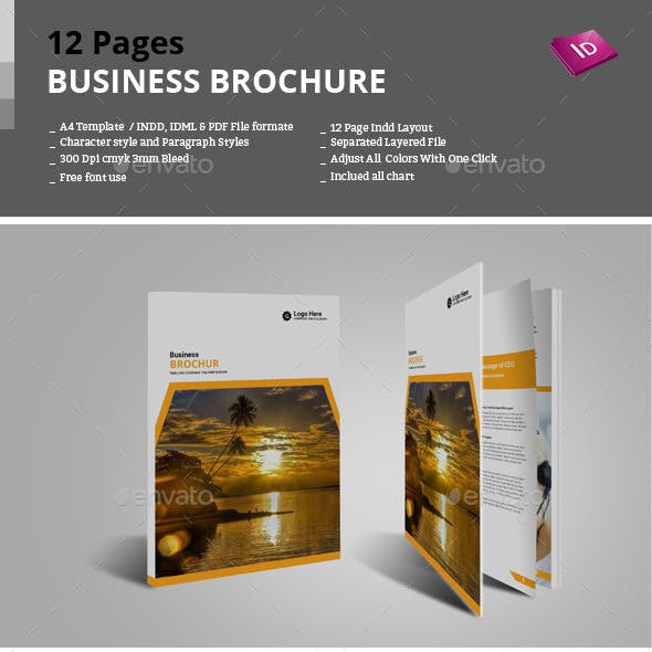 12 Pages Business Brochure