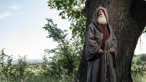 Portrait of a druid wearing a hooded cassock next to a large tree