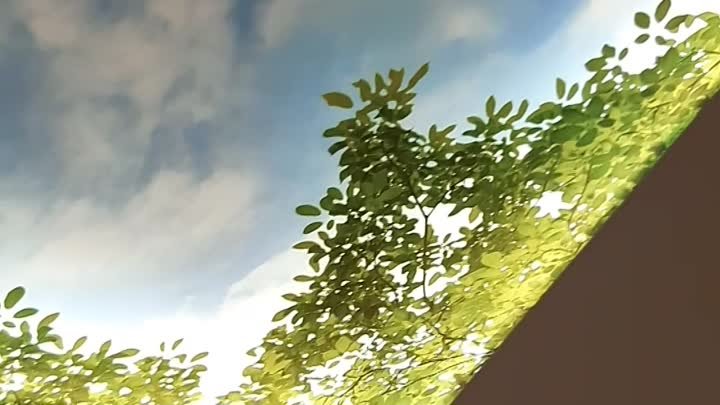 видео 3Д натяжного потолка