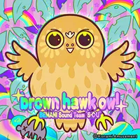 brownhawkowl