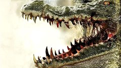 Крокодил

2007 г. ‧ Ужасы/Триллер


