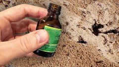 Муравьи 50 лет не возвращаются, быстро избавилась от муравье...