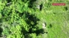 Операторы дронов показали видео уничтожения опорных пунктов ...