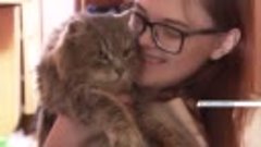 Красноярка нашла пропавшего кота спустя шесть лет