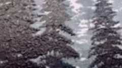 Зимний лес. Картина в необычной технике нарисована