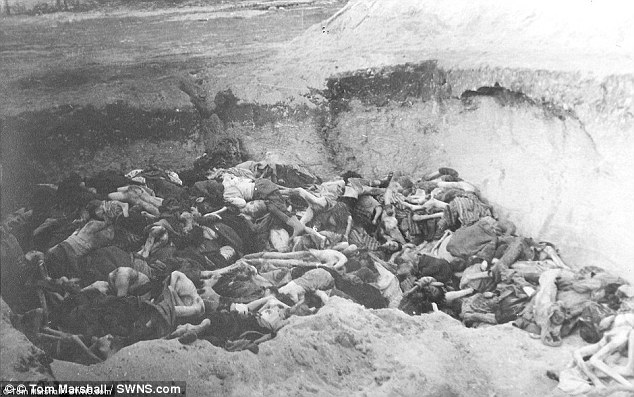 Slaughter: More emaciated bodies are piled in one of the many shallow graves that surrounded the camp, located in northern Germany