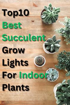 the top 10 best succulent grow lights for indoor plants on a wooden table