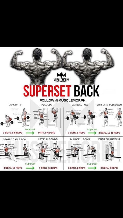 Workouts Back, Back Workout Bodybuilding, Back Workout Routine, Gym Antrenmanları, Gym Workout Chart, Workout Routine For Men, Gym Workouts For Men, Workout Training Programs, Workout Posters