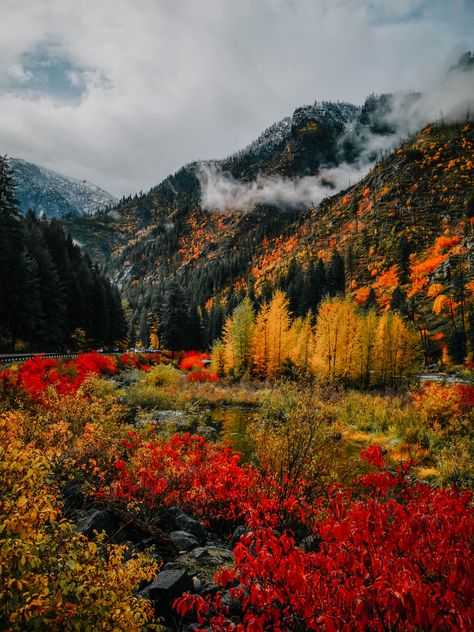 Nature Fall Photography, Fall Mountain Pictures, Fall In The Woods, Forest In The Fall, Fall Leaves Mountains, Fall In The Mountains Aesthetic, Fall In California Aesthetic, Autumn In Oregon, Pnw Fall Aesthetic