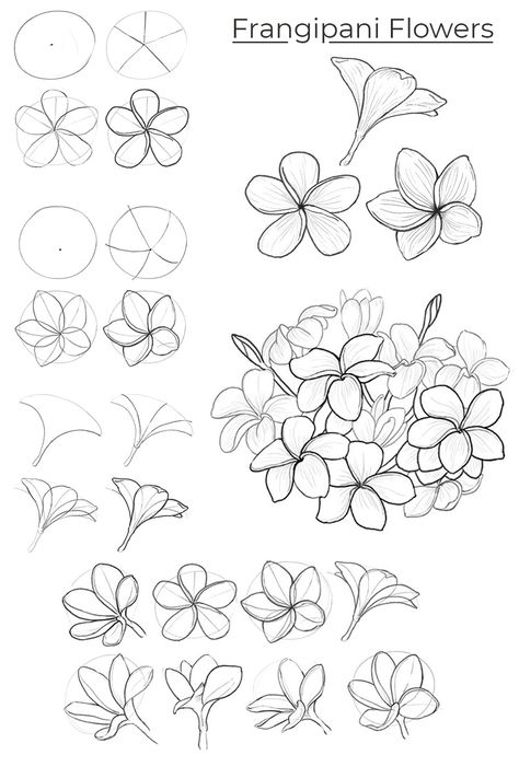 How To Draw A Frangipani, How To Paint Frangipani Flower, Flowers And Plants Drawing, Tutorial Flower Drawing, How To Draw A Plumeria, How To Draw Plumeria Flowers, Flower Art Drawing Sketches Ideas, Frangipani Flower Painting, How To Draw Botanicals