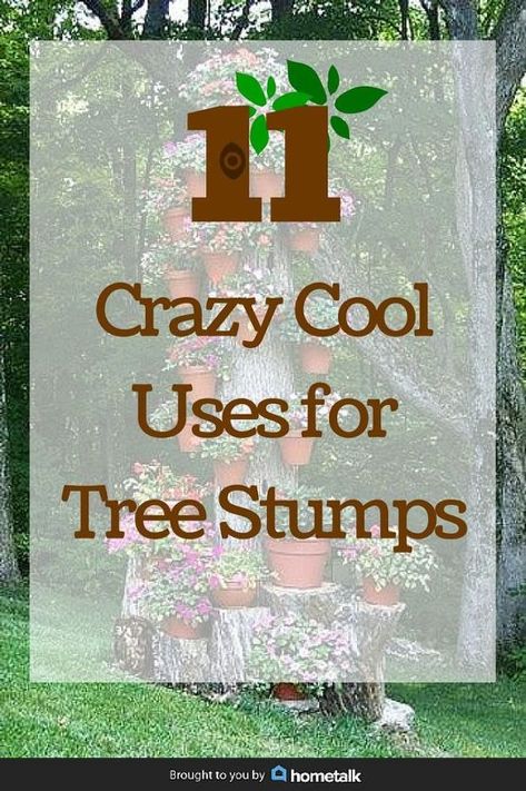 11 pictures of crazy cool uses for tree stumps, outdoor furniture, outdoor living, repurposing upcycling, woodworking projects Landscaping With Tree Stumps, Upcycling, Wood Stumps Ideas, Wood Log Crafts Tree Stumps, What To Do With Tree Stumps Ideas, Wood Stump Ideas Outdoor, Landscaping Around Tree Stumps, Stump Ideas Landscaping, Things To Do With Tree Stumps