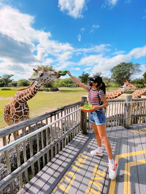 Zoo Instagram Pictures, Zoo Pictures Ideas, Zoo Pictures Instagram, Outfits For Zoo Trip, Zoo Outfit Ideas, Zoo Outfits, Zoo Aesthetic, Pose Ootd, Zoo Outfit