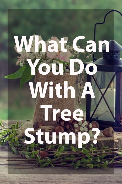 Tree Stumps Diy, Tree Stump Ideas, Tree Stump Decor, Boho Deck, Stump Ideas, Tree Stump Planter, Tree Stump Table, Landscaping Around Trees, Wood Stumps