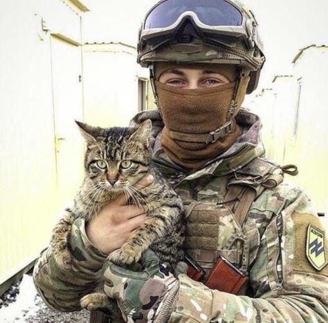 Military, Soldier Love, Soldier, Ukrainian Art, Military Soldiers, Cat People, Military Man, Gatos, Stray Cat