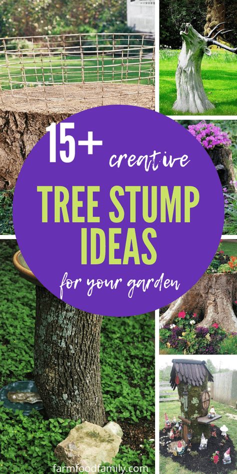 These tree stump ideas that will transform your yard into something eye-catching. Ideas For A Tree Stump Front Yards, Carved Stump Ideas, What To Do With A Stump In Yard, Decorate Stumps In Yard, Wood Stump Ideas Outdoor, Tree Trunk Decoration Ideas, Tall Tree Stump Ideas, Tree Stump Stool, Fallen Tree Ideas