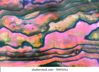 Macro of sea shell - curves and layers are covered with pearl - great for background Arkivfotografi