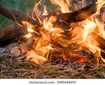 A close up of the a flame wood in bonfire. camp barbecue wood charcoal. wood that burns in the grill. blaze fire flame texture background. Tongues of flame. burning wooden logs and large orange flame