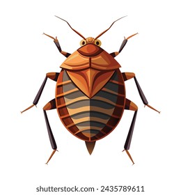 Bedbug isolated illustration on white background