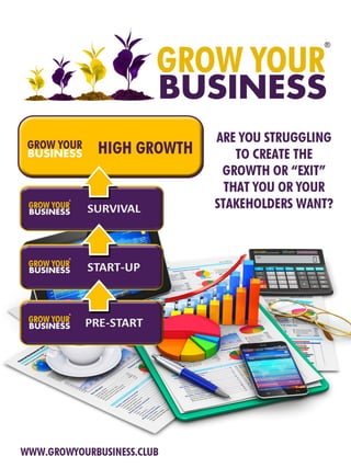 Grow your business and business growth checklist