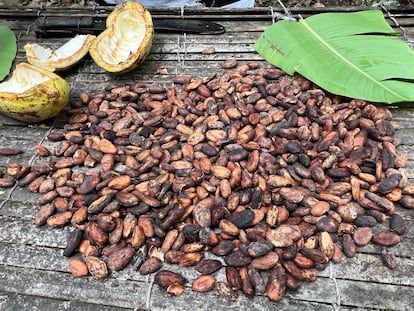 Granos de cacao secándose en Ghana.