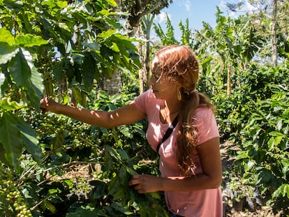 En El Salvador son pocas las mujeres que heredan las tierras. Desde hace nueve años, Marlyn Crespín está a cargo de la finca de su familia con la esperanza de que un día el café valga la pena.