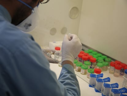 Un técnico de Médicos Sin Fronteras analiza muestras en el laboratorio del hospital de tuberculosis farmacorresistente en Kandahar, Afganistán, en marzo de 2023.